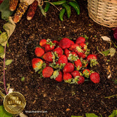 Fresa orgánica 450g